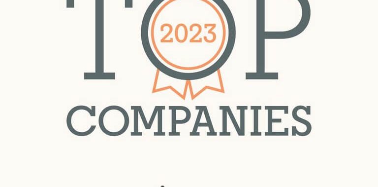 LinkedIn Top Companies 2023: Vitesco Technologies is one of the most attractive employers in India