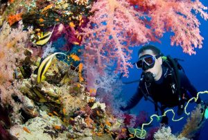 Scuba diving at Koh Tao- Appreciate The Mighty Oceans On This World Ocean Day