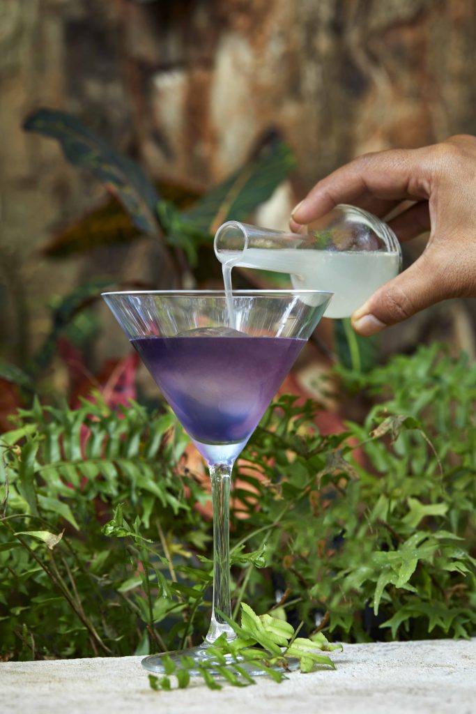 Cocktails by Archita Gupta of Taj Holiday Resort And Spa