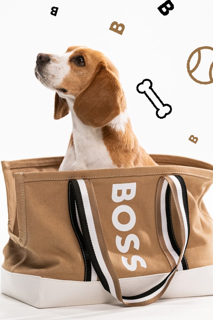 Global Premium Pets Company Kanine Launches In India; Fashion Products And Accessories To Be Available On Myntra And Kanine India