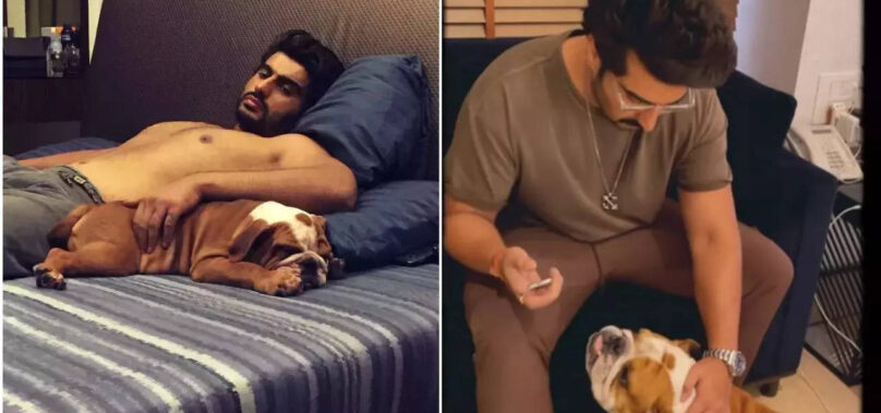 Arjun remembers his pet dog Maximus: Video