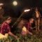 Okayti Tea Estate’s Moonlight Plucking: A Time-honored Tradition Illuminating Darjeeling’s Finest Tea