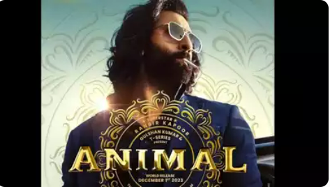 Animal gets ‘A’ certificate in Britain