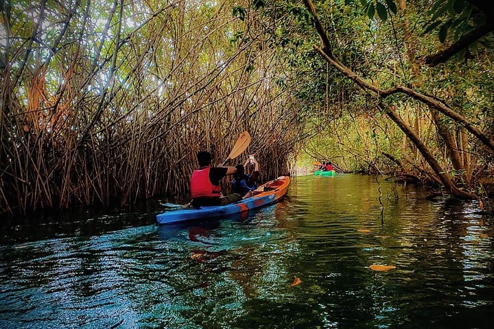 Top 5 Must Do’s In Varkala (5)