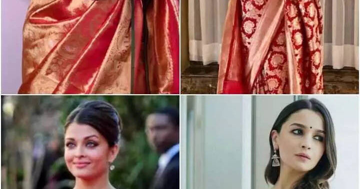 Actresses who showcased different types of sarees