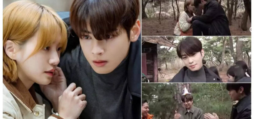 Cha Eun Woo and Park Gyu Young’s fun moments