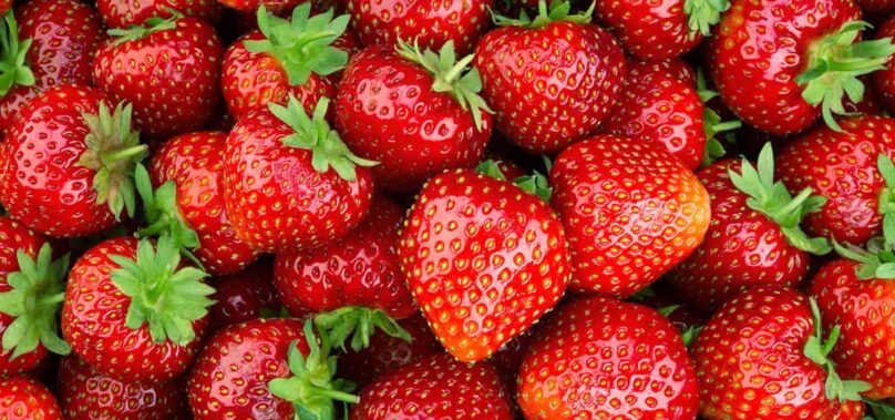 National Strawberry Day Celebrates Season of Love with Scrumptious Delicacies
