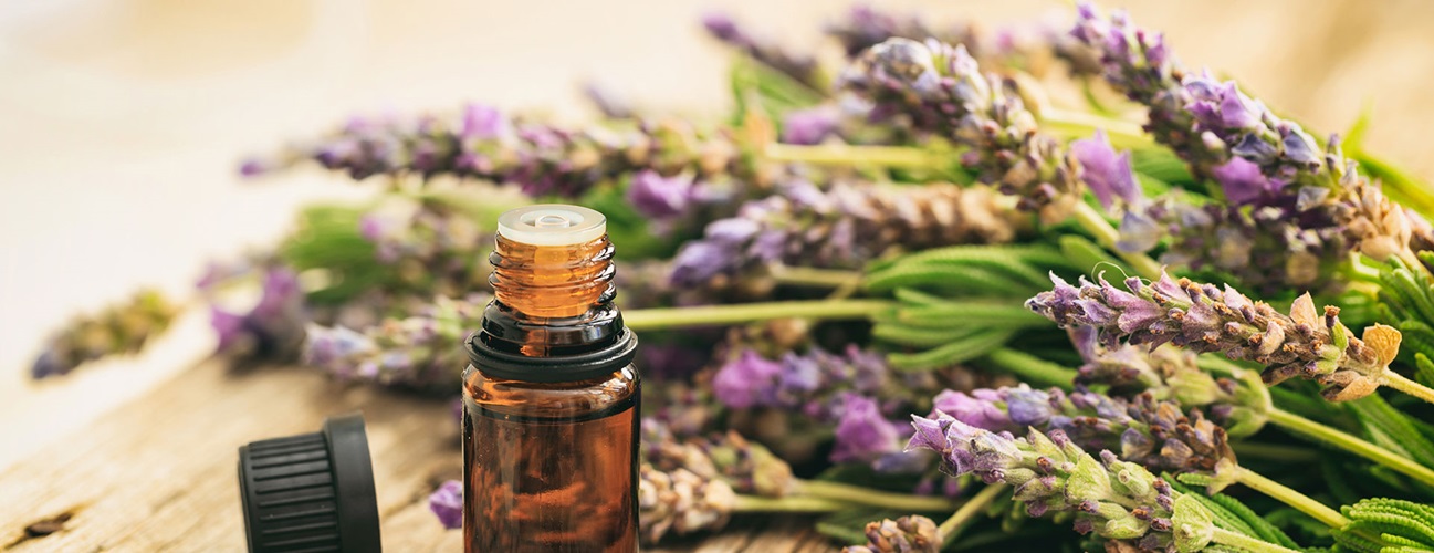 lavender essential oil hero
