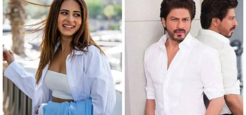 Sargun refused to meet SRK until they collaborate