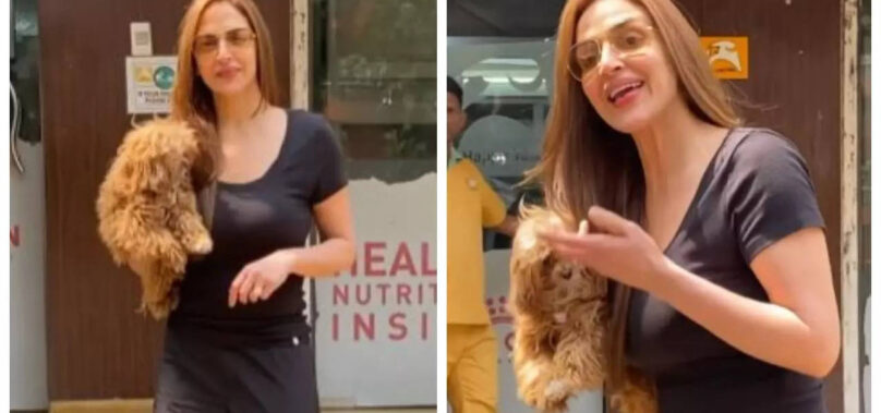 Esha Deol steps out in the city with her dog