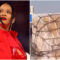 Pics of of Rihanna’s huge luggage goes viral