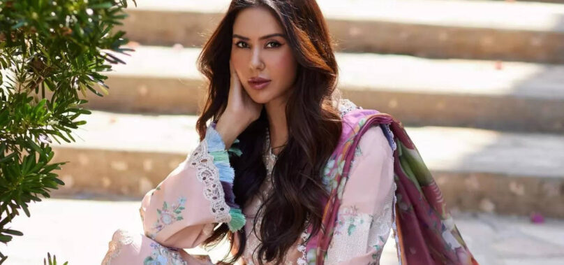 Is Sonam Bajwa secretly married?