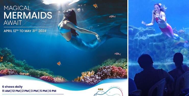 VGP Marine Kingdom Brings First-Ever Mermaid Show to Chennai