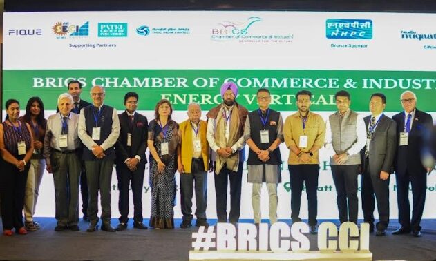 Experts Call for Increase in Pace of Energy Transition at Energy Partnership Forum 2.0 by BRICS Chamber of Commerce and Industry