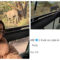 Ananya drops PICS from her wild safari adventure