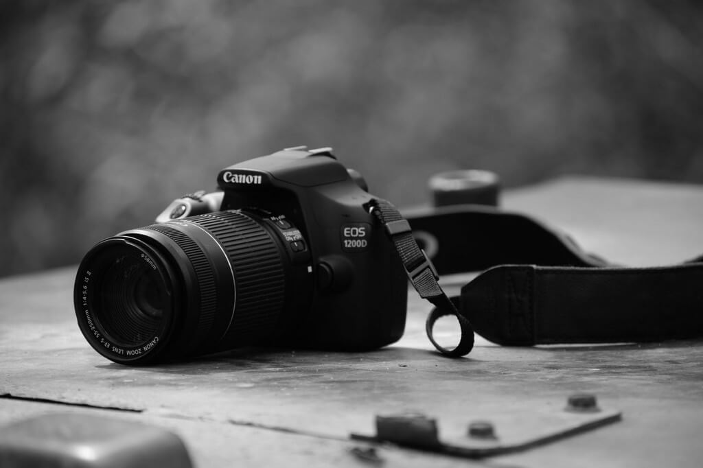 Top Five Camera Brands and their new launches