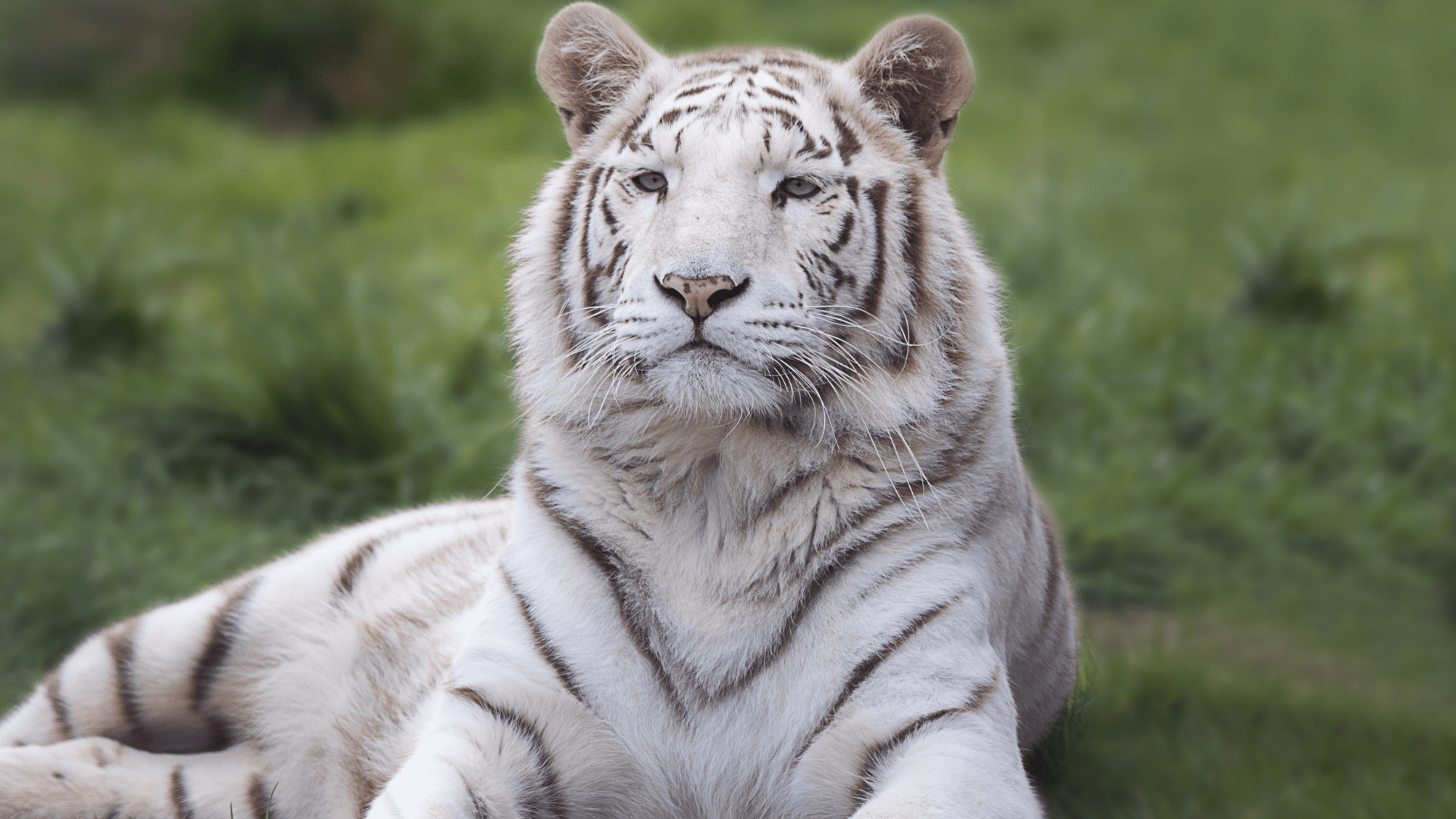 Sundarban-National-Park