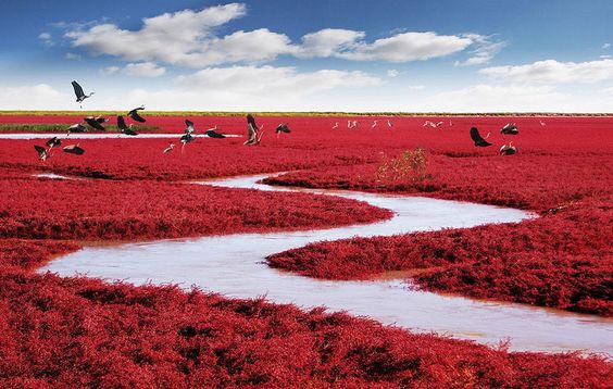 World Discovering Earth's Most Bizarre Landscapes : Top 14 Natural Wonders