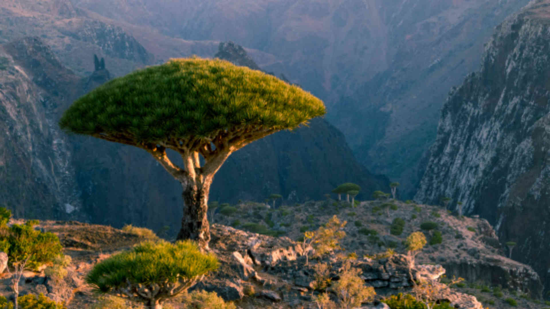 World Discovering Earth's Most Bizarre Landscapes : Top 14 Natural Wonders