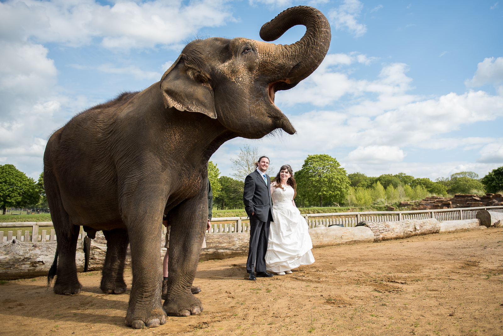 wedding Ideas :14 Unconventional & Memorable unique Ways to Tie the Knot