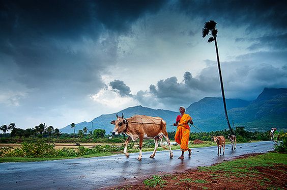  Monsoon Adventures: Top 13 Travel Indian Destinations to discover Gem Hidden Places