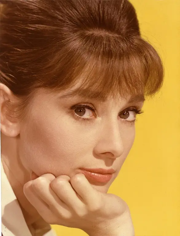 Audrey Hepburn 