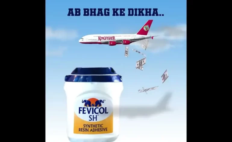  The Enduring Magic: Why Fevicol Ads Are Incredible