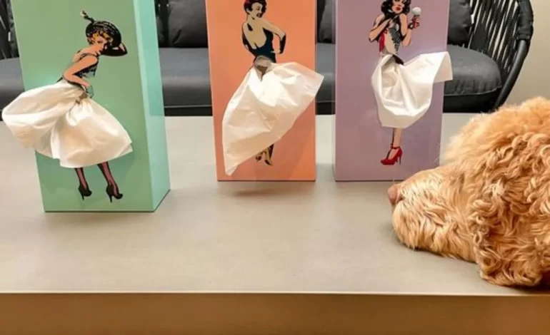 Tissue Boxes Unique Designs: The New Wave Of Decore