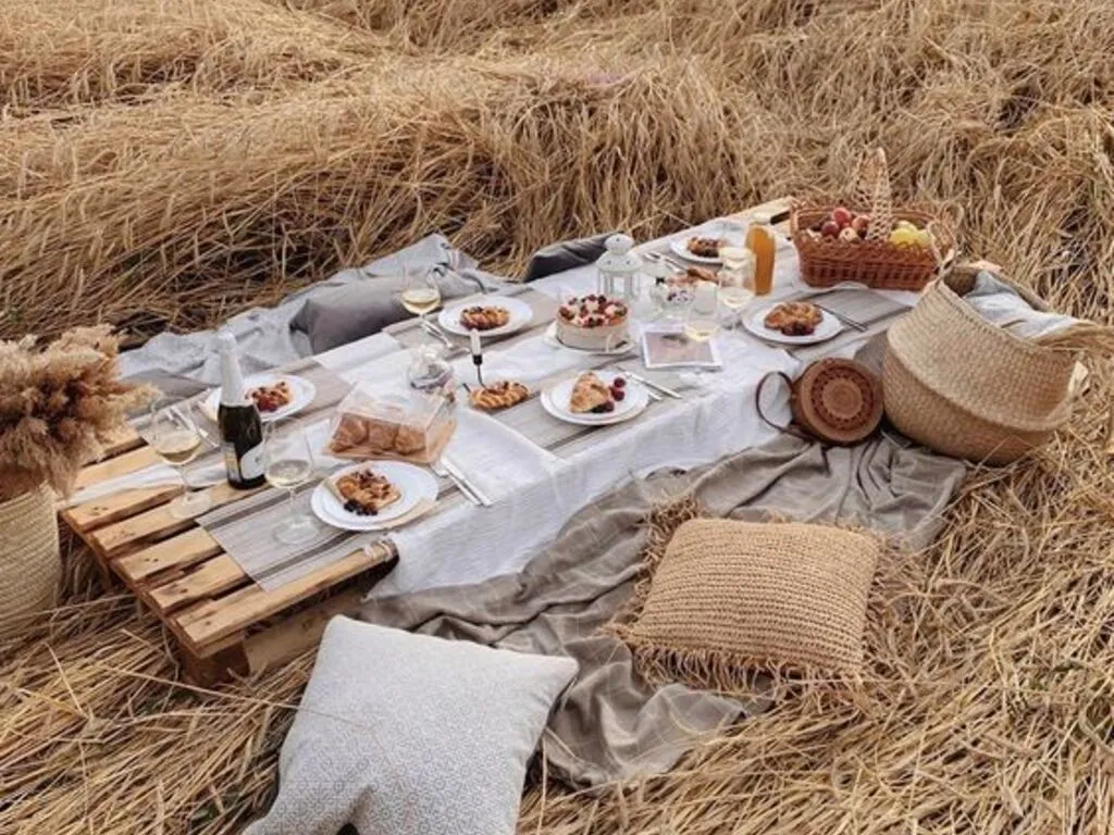 How To Set Up Your Picnic Spot For A Picturesque Appeal