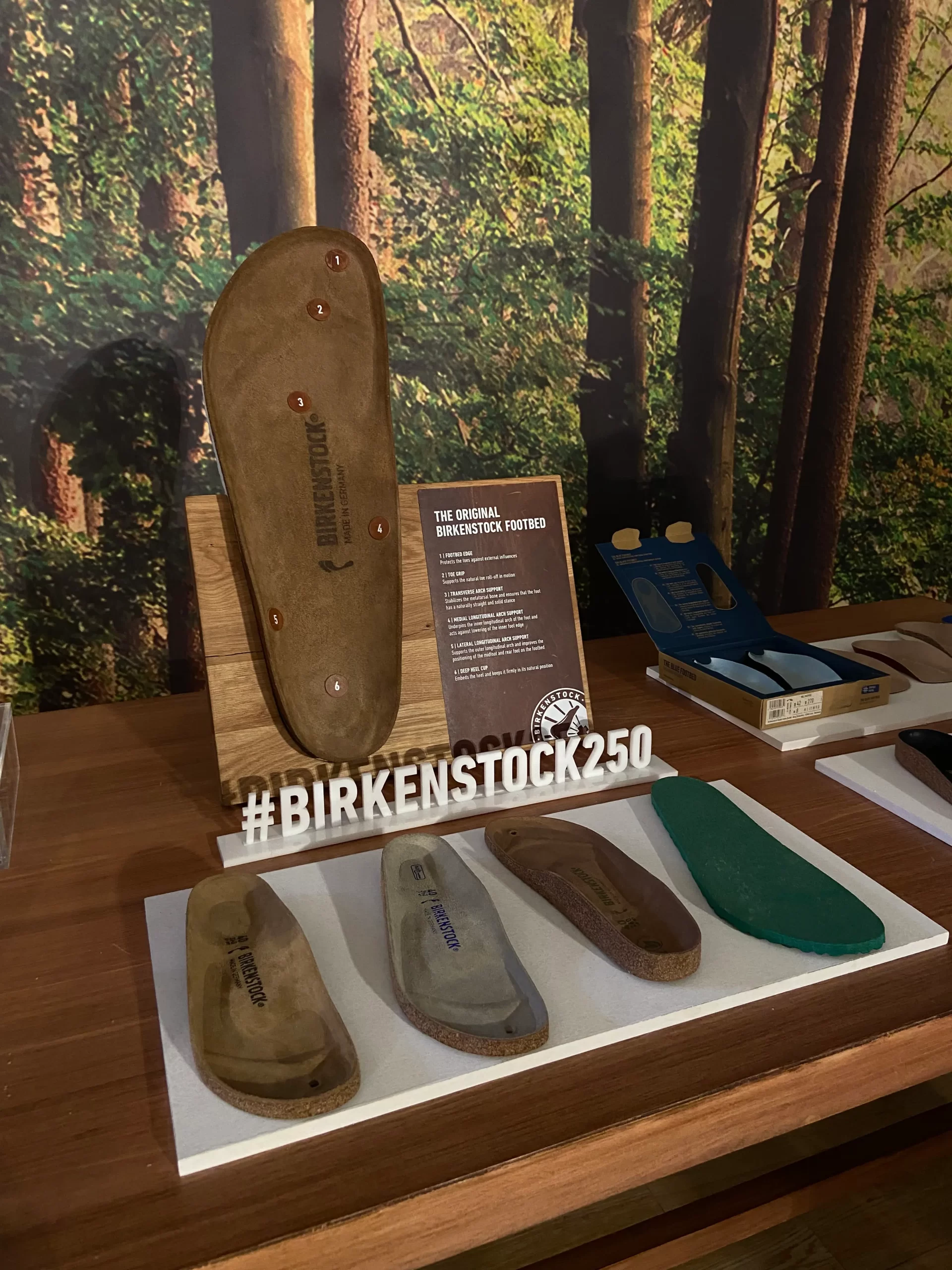 250 Years of Birkenstock A Legacy of Comfort, Craftsmanship and Style (3)