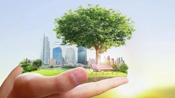 Eco-Friendly Materials in Real Estate