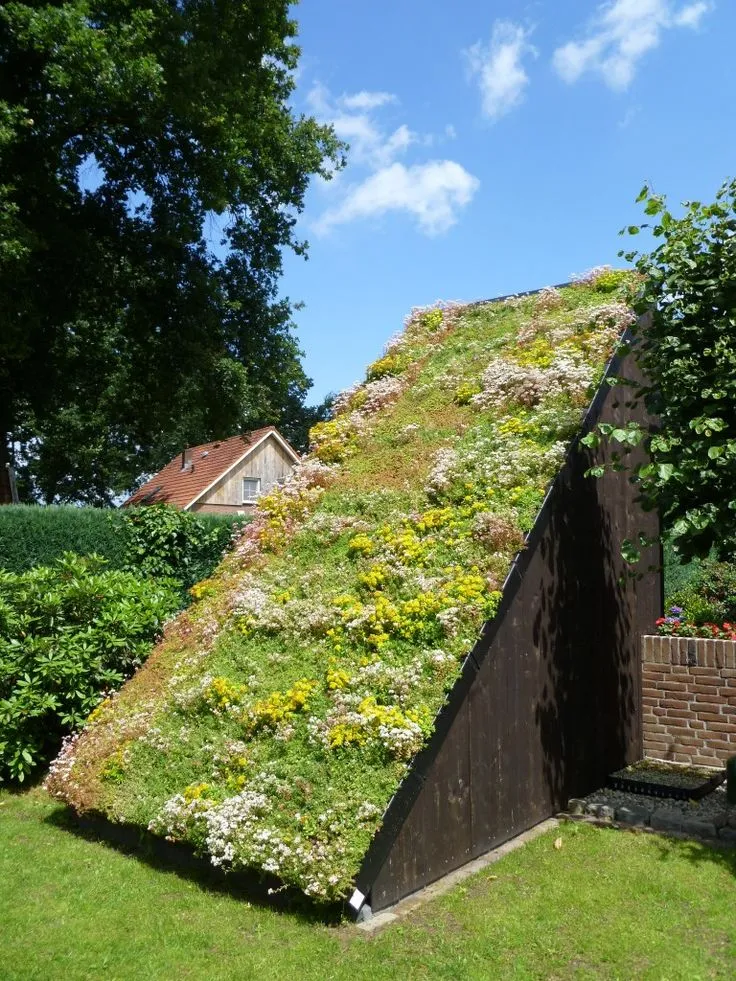 Green Roofs 