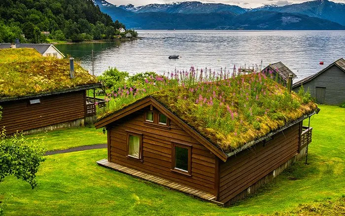 Green Roofs 