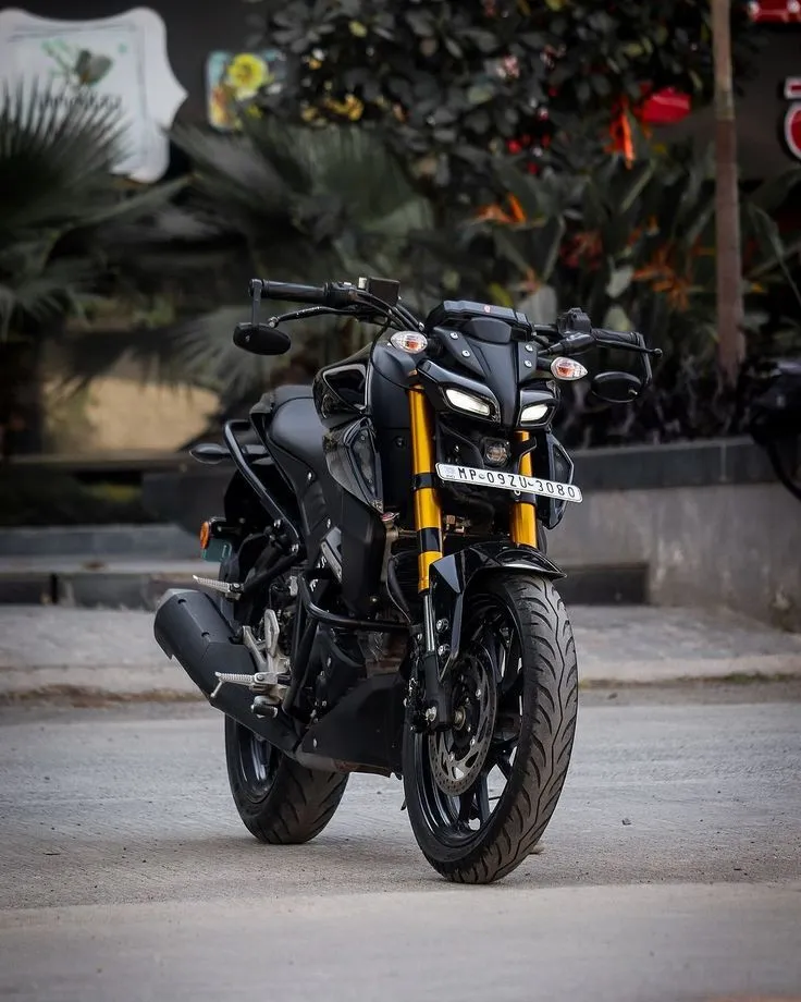 Top 10 Most Popular Bikes In India 2024: Fuel Efficiency, Performance, And Style